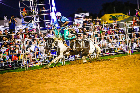 CamdenShowRodeo2017_0472