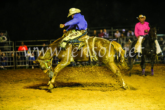 CamdenShowRodeo2017_1893