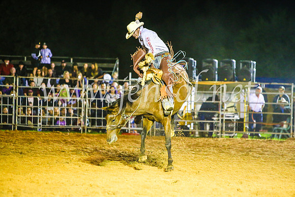 CamdenShowRodeo2017_1385