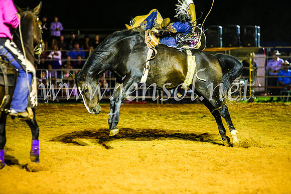 CamdenShowRodeo2017_0878