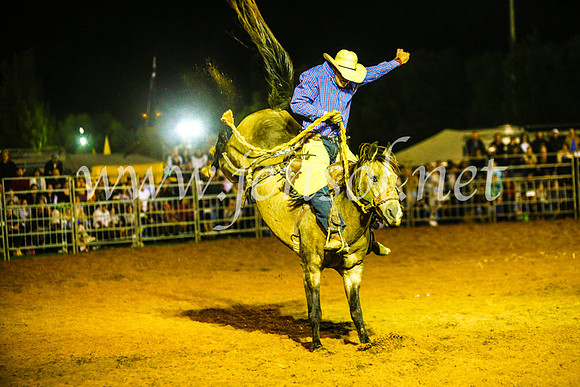 CamdenShowRodeo2017_1460