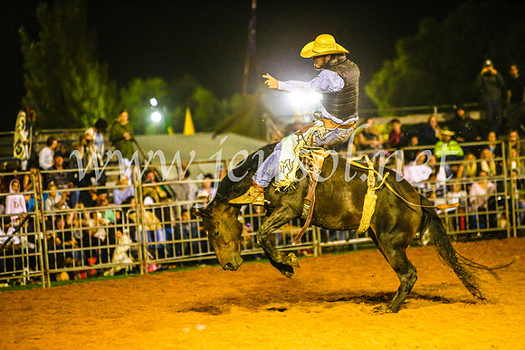 CamdenShowRodeo2017_1772