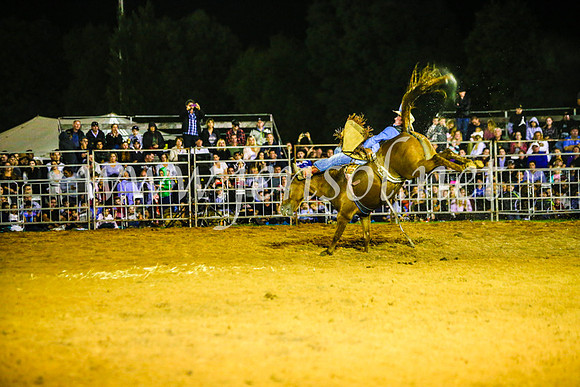 CamdenShowRodeo2017_0807