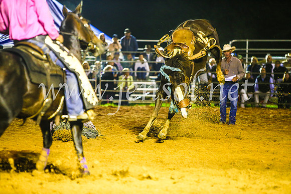 CamdenShowRodeo2017_2167