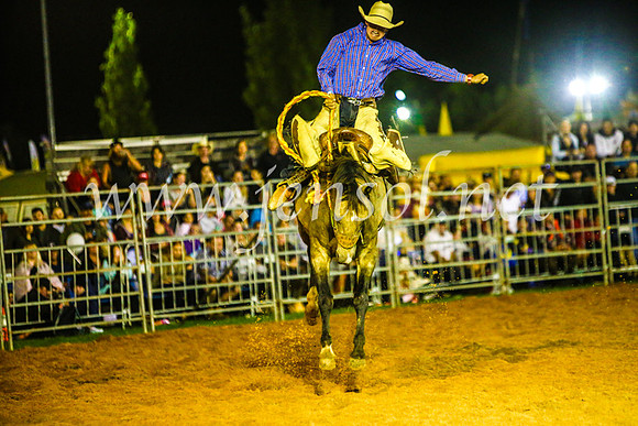 CamdenShowRodeo2017_1439