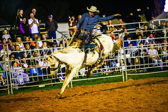 CamdenShowRodeo2017_1509