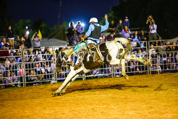 CamdenShowRodeo2017_0461