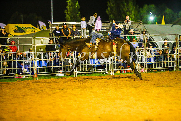 CamdenShowRodeo2017_1807