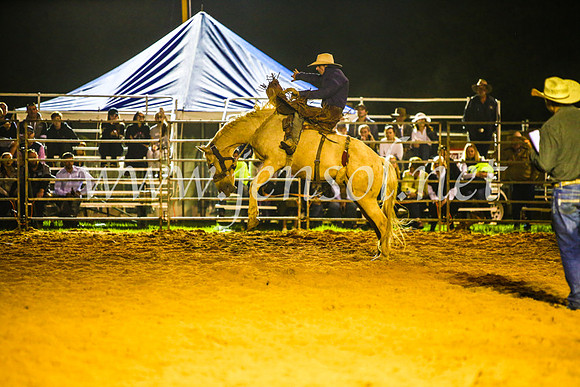CamdenShowRodeo2017_1932