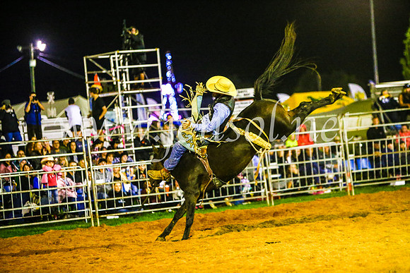 CamdenShowRodeo2017_1785
