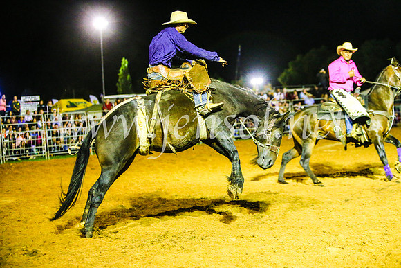 CamdenShowRodeo2017_1354
