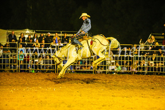 CamdenShowRodeo2017_1486