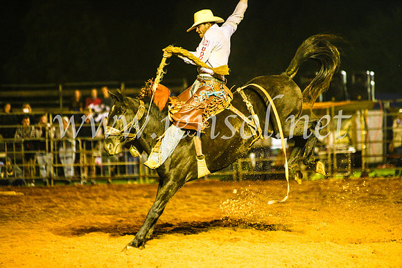 CamdenShowRodeo2017_1991