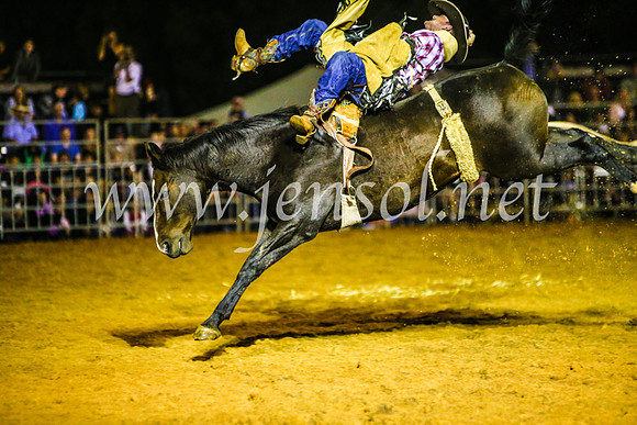 CamdenShowRodeo2017_0881