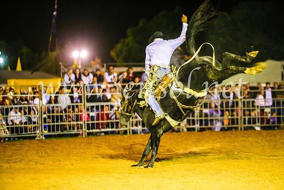 CamdenShowRodeo2017_1370
