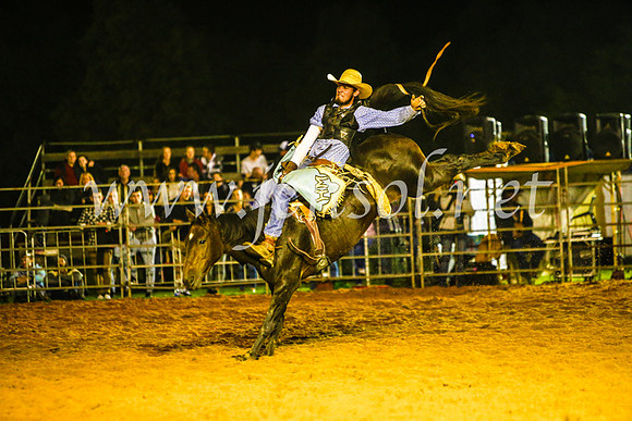 CamdenShowRodeo2017_1759