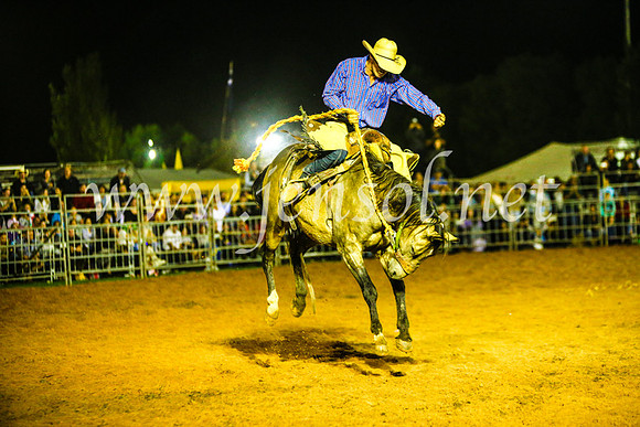 CamdenShowRodeo2017_1461