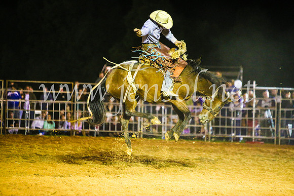 CamdenShowRodeo2017_1398