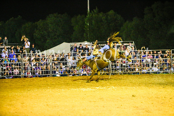 CamdenShowRodeo2017_0802