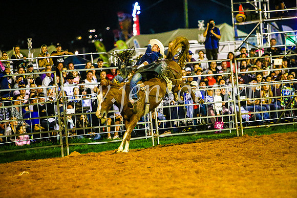 CamdenShowRodeo2017_0866