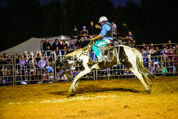 CamdenShowRodeo2017_0465