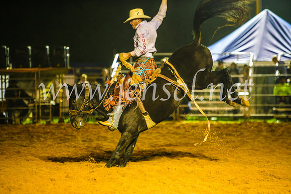 CamdenShowRodeo2017_1979