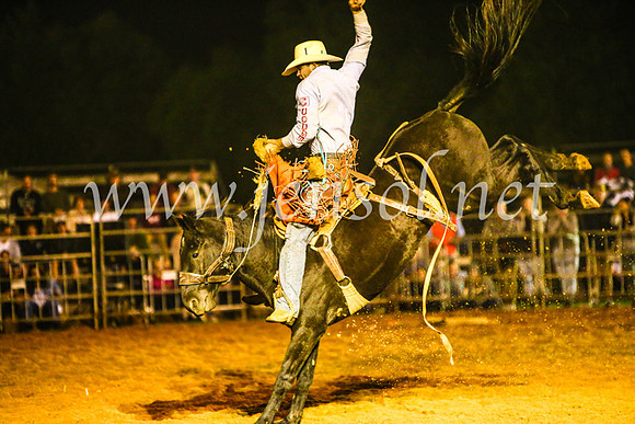 CamdenShowRodeo2017_1996