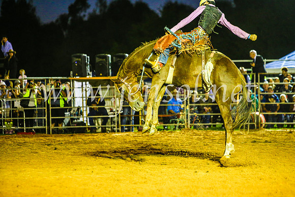 CamdenShowRodeo2017_0416