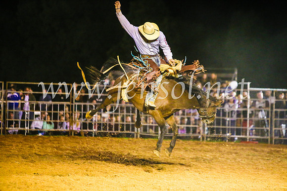 CamdenShowRodeo2017_1400