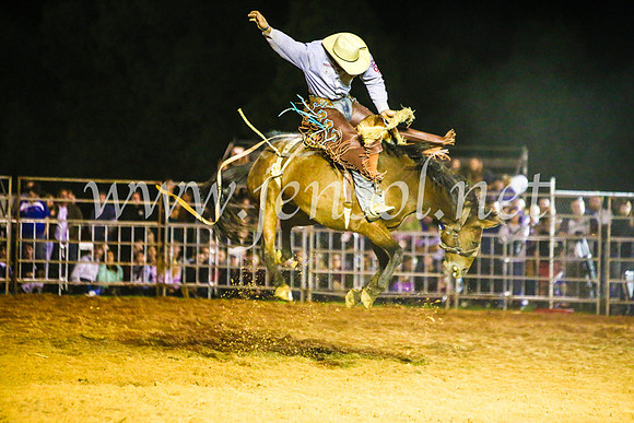 CamdenShowRodeo2017_1399