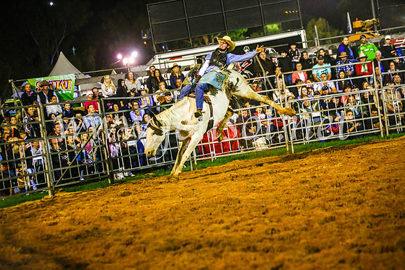 CamdenShowRodeo2017_0775
