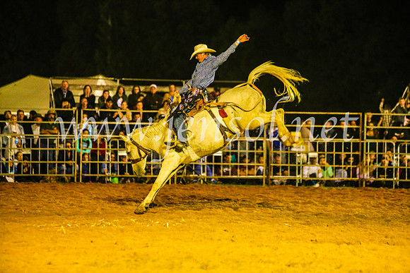 CamdenShowRodeo2017_1487