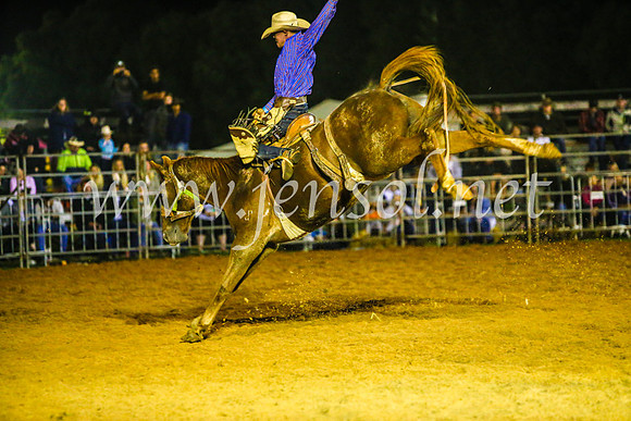 CamdenShowRodeo2017_1886