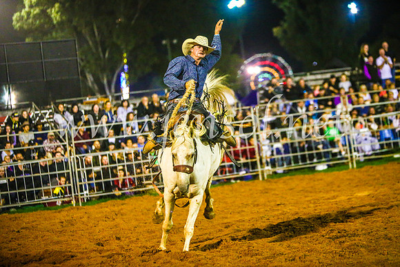 CamdenShowRodeo2017_1514