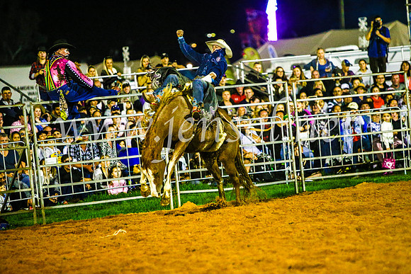 CamdenShowRodeo2017_0860