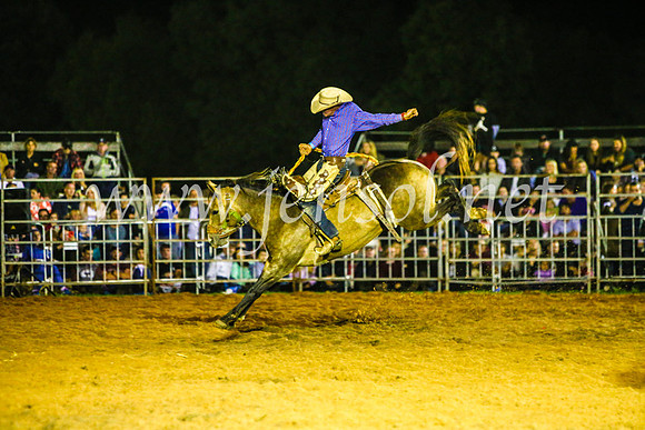 CamdenShowRodeo2017_1423