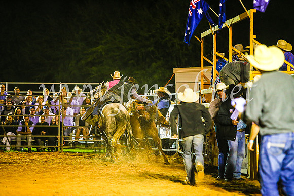 CamdenShowRodeo2017_0831