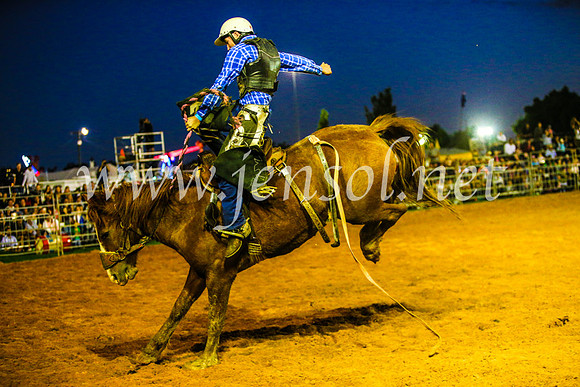 CamdenShowRodeo2017_0367