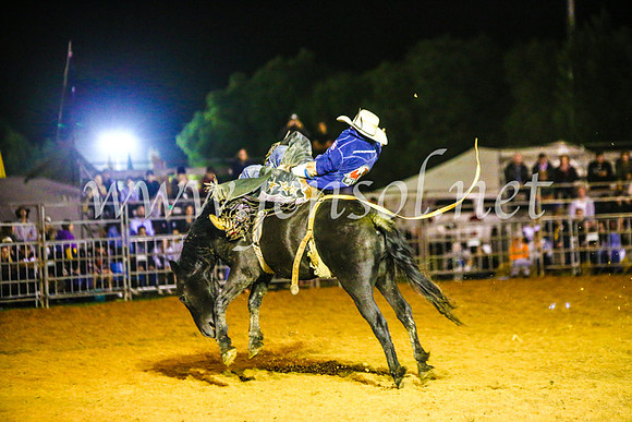 CamdenShowRodeo2017_1882