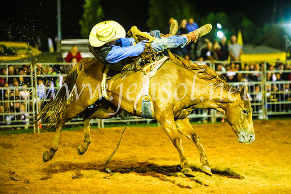 CamdenShowRodeo2017_0822