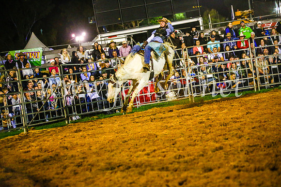 CamdenShowRodeo2017_0776