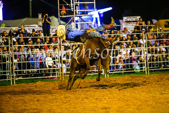 CamdenShowRodeo2017_0827