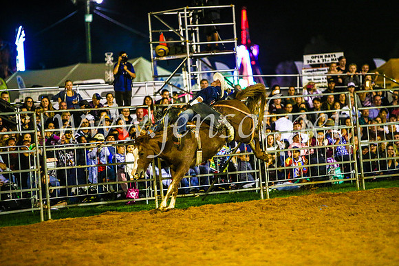 CamdenShowRodeo2017_0858