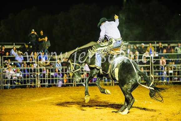 CamdenShowRodeo2017_1358
