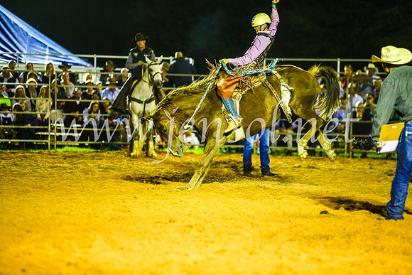 CamdenShowRodeo2017_0394