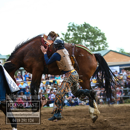 JindabyneRodeo2018_3579