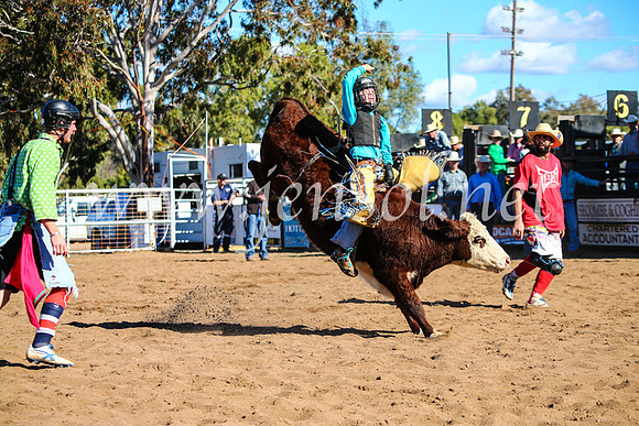 CoonambleRodeoCampdraftMon_7710