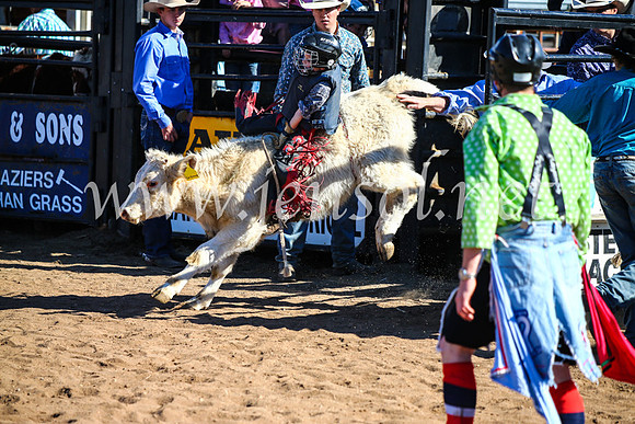 CoonambleRodeoCampdraftMon_7585