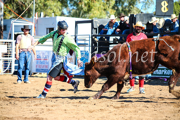 CoonambleRodeoCampdraftMon_7722