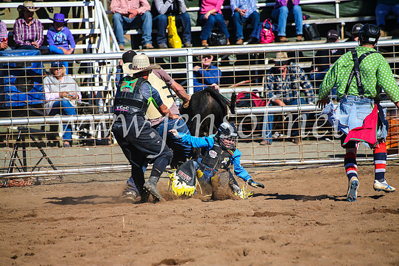 CoonambleRodeoCampdraftMon_7625